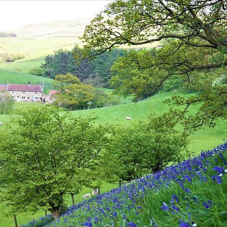 Bluebells Cottage Chop Gate Eksteriør billede