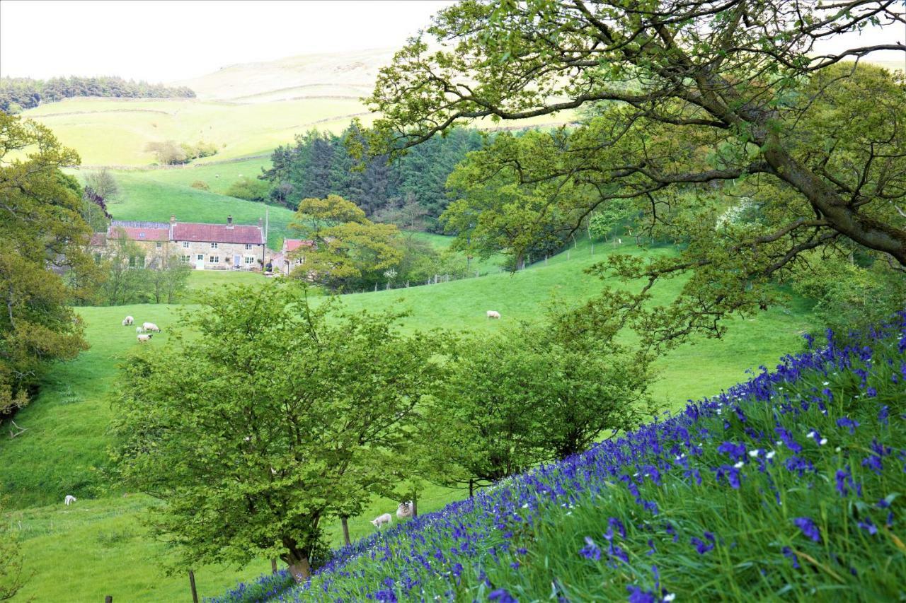 Bluebells Cottage Chop Gate Eksteriør billede