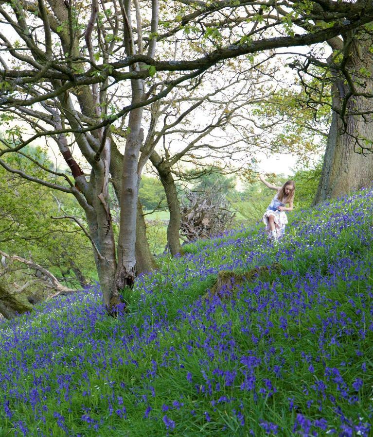 Bluebells Cottage Chop Gate Eksteriør billede