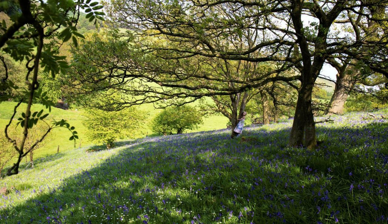 Bluebells Cottage Chop Gate Eksteriør billede